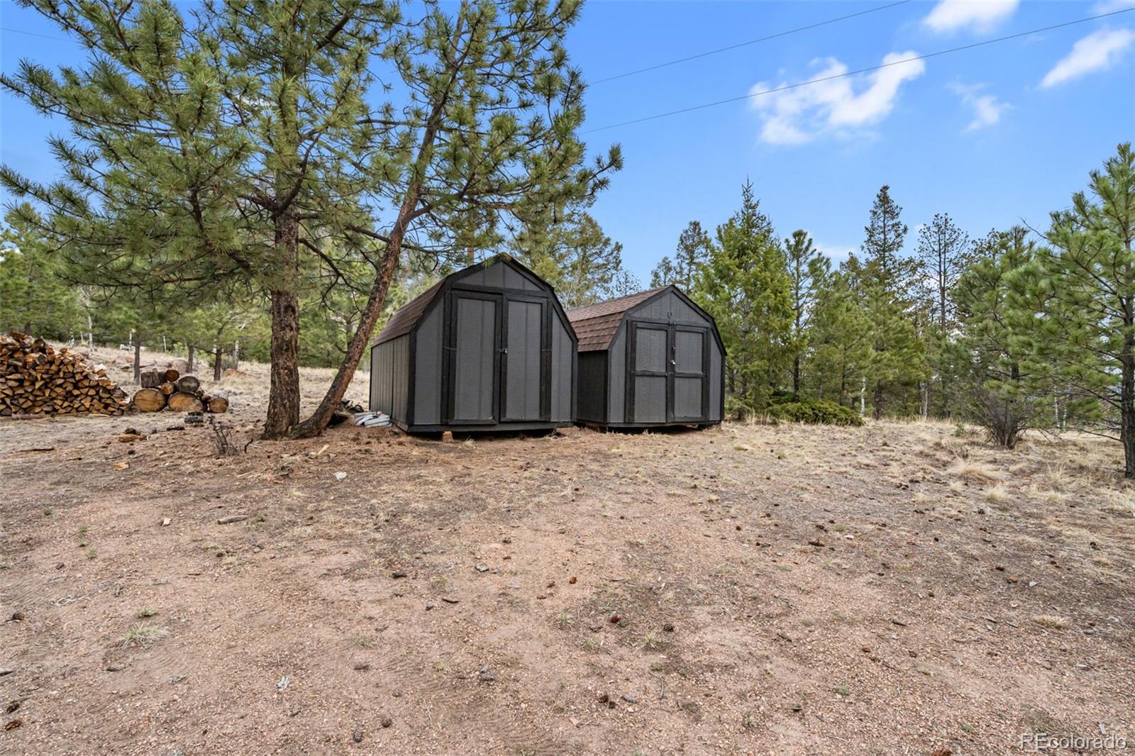 MLS Image #29 for 1366  vagabond creek drive,lake george, Colorado