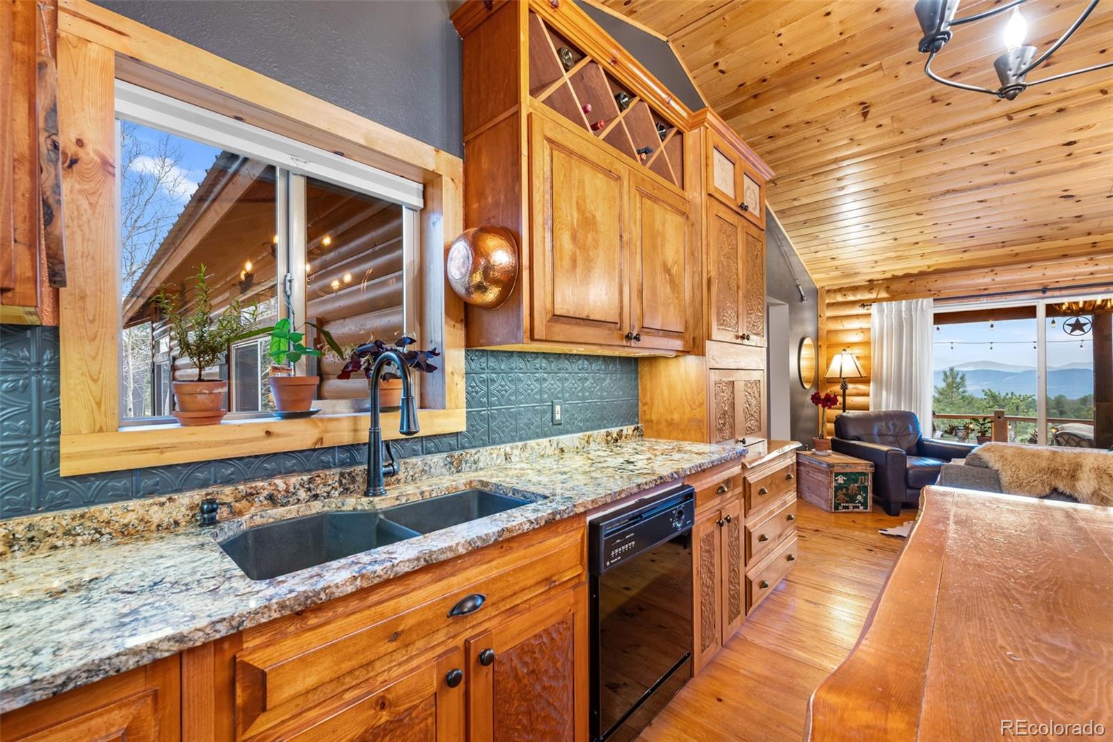 MLS Image #5 for 1366  vagabond creek drive,lake george, Colorado