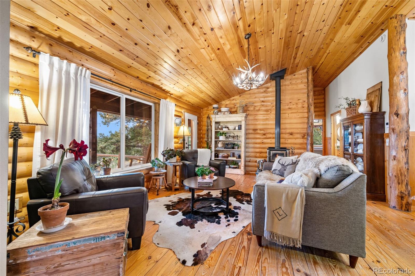 MLS Image #6 for 1366  vagabond creek drive,lake george, Colorado