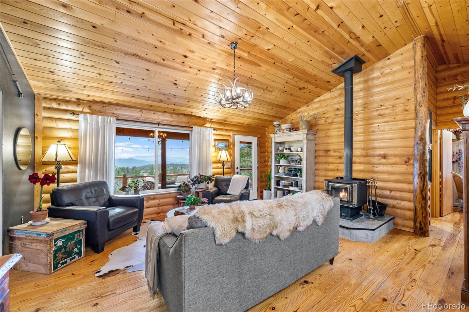 MLS Image #7 for 1366  vagabond creek drive,lake george, Colorado