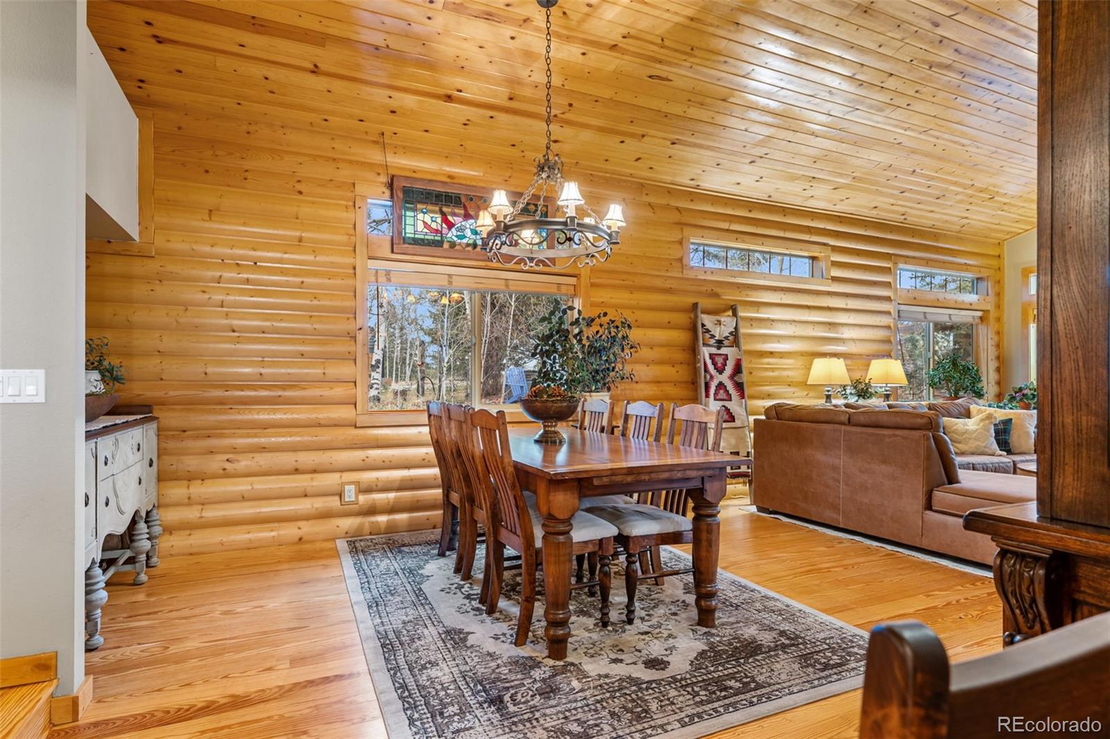 MLS Image #8 for 1366  vagabond creek drive,lake george, Colorado