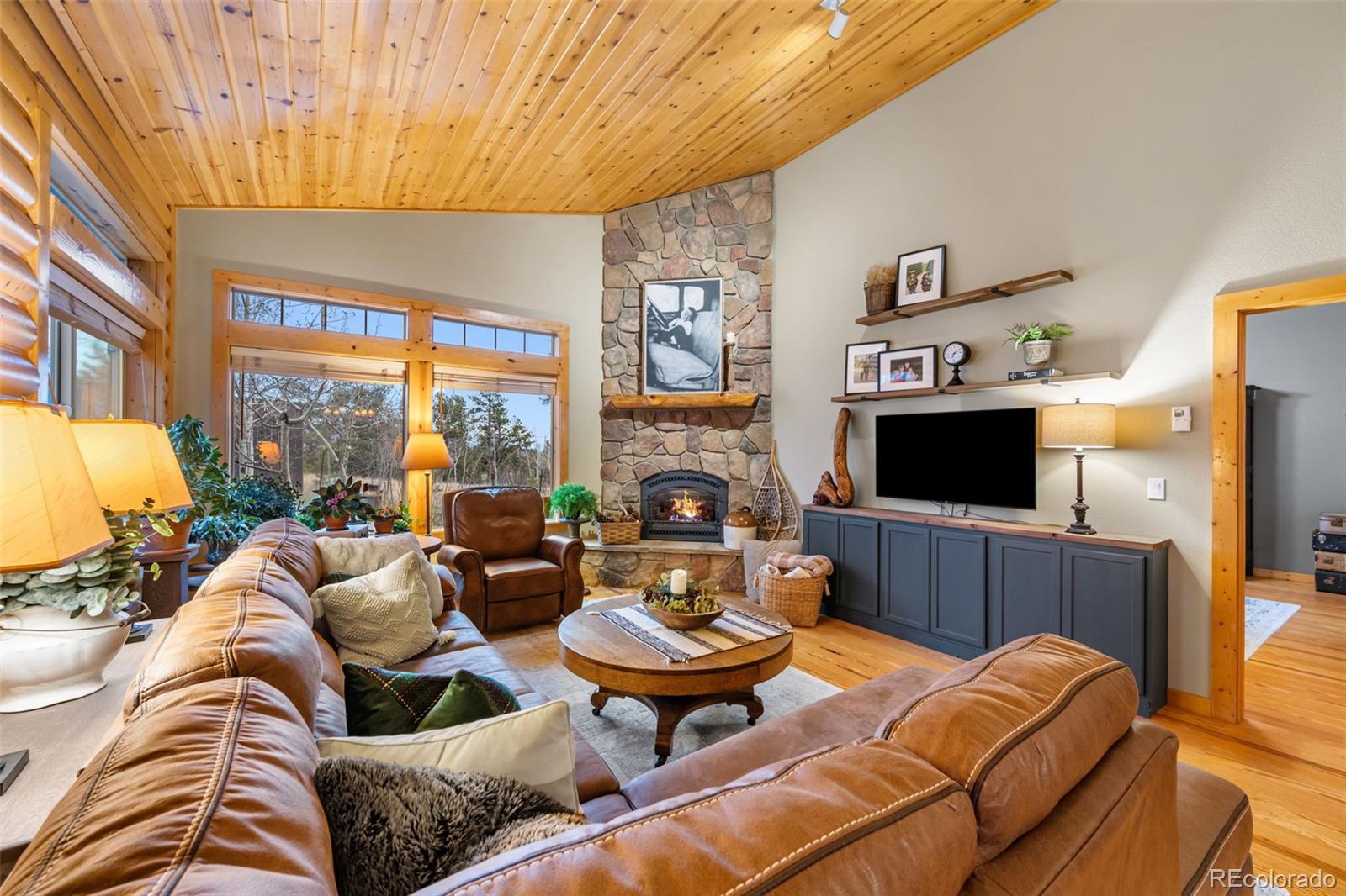 MLS Image #9 for 1366  vagabond creek drive,lake george, Colorado