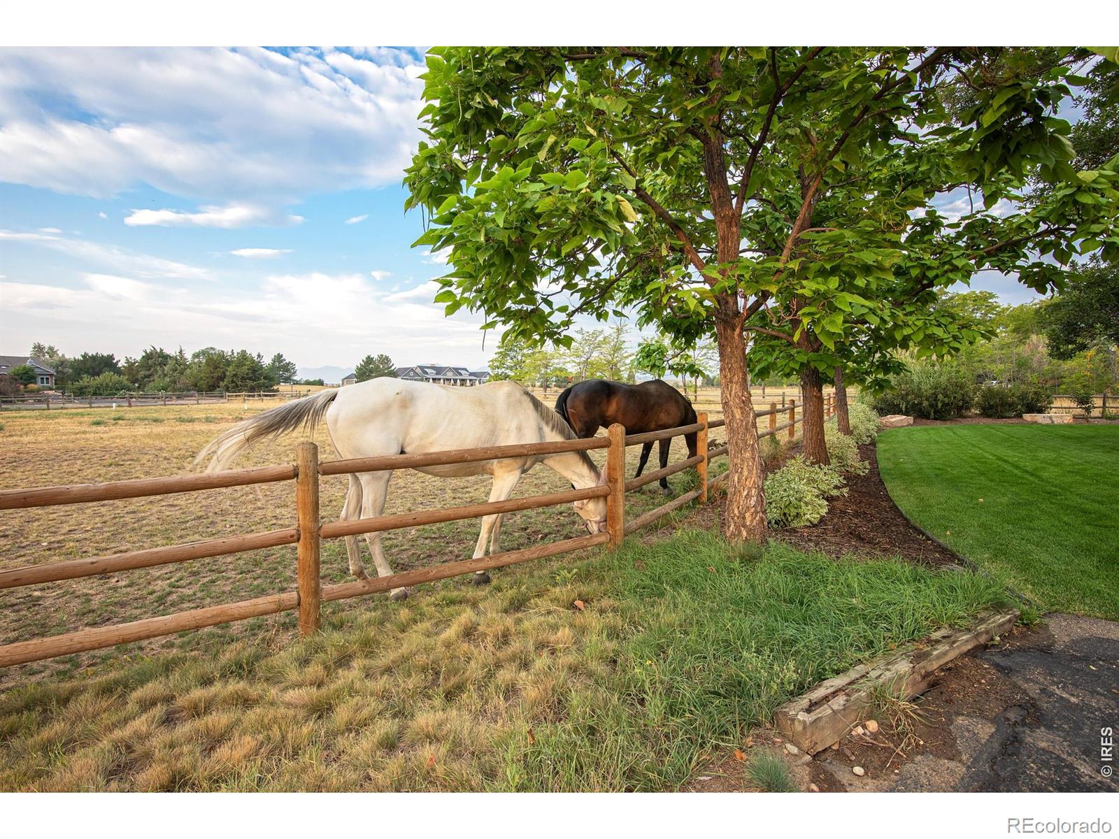 MLS Image #43 for 9421  gunbarrel ridge road,boulder, Colorado