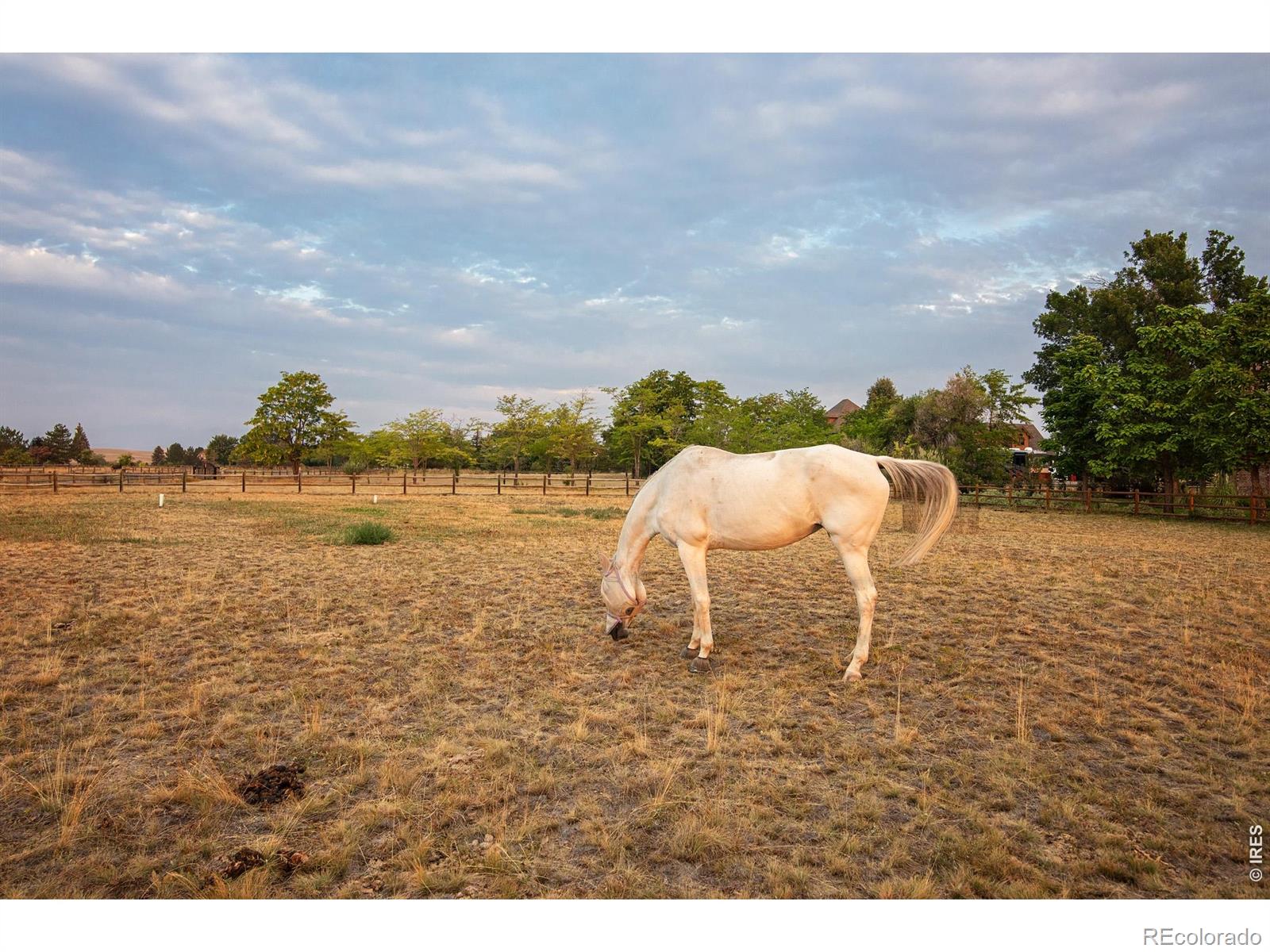 MLS Image #45 for 9421  gunbarrel ridge road,boulder, Colorado