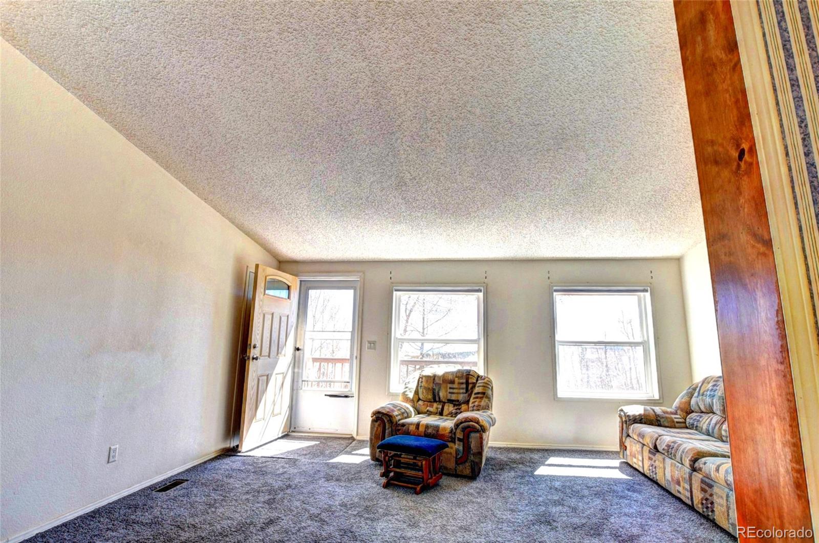 MLS Image #10 for 605  lamb mountain road,fairplay, Colorado