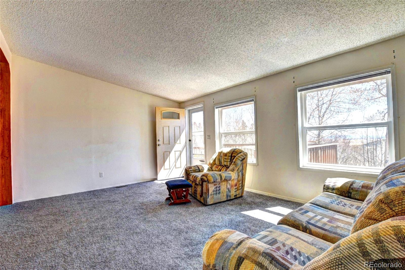 MLS Image #11 for 605  lamb mountain road,fairplay, Colorado