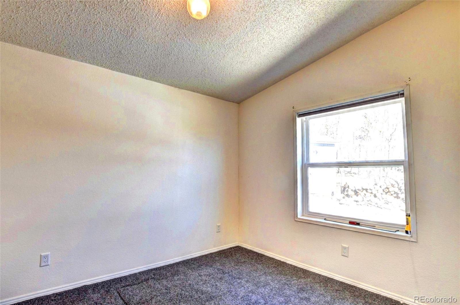 MLS Image #18 for 605  lamb mountain road,fairplay, Colorado