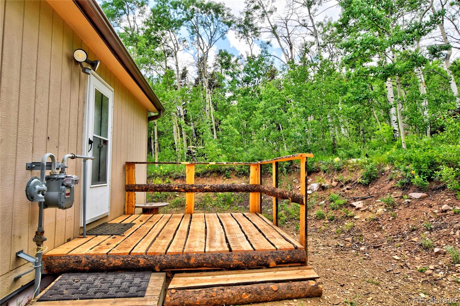 MLS Image #20 for 605  lamb mountain road,fairplay, Colorado