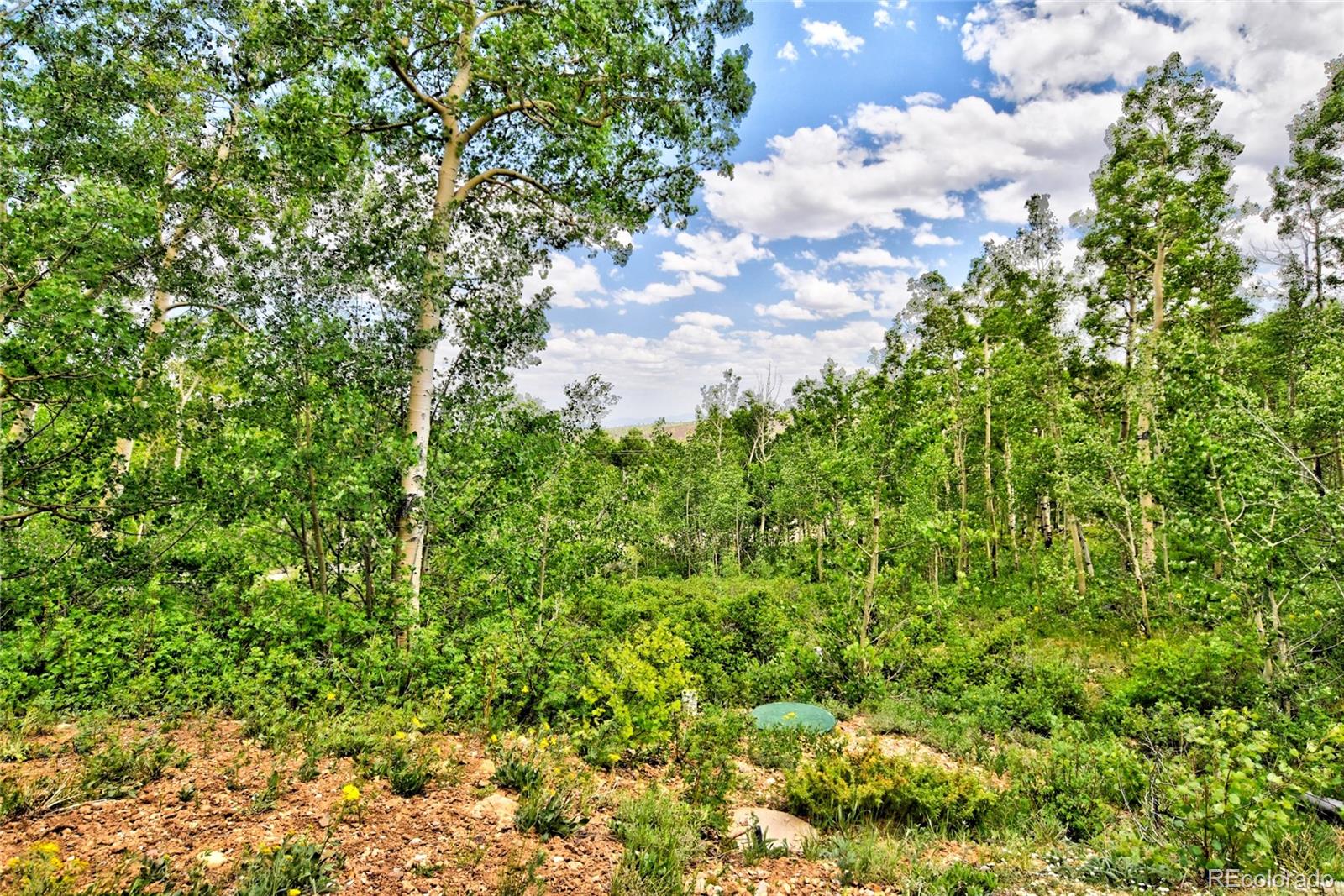 MLS Image #24 for 605  lamb mountain road,fairplay, Colorado