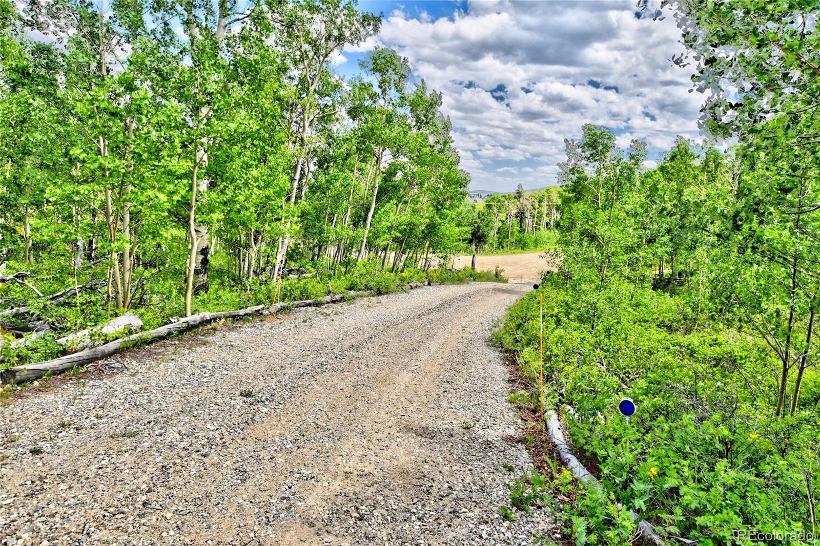 MLS Image #29 for 605  lamb mountain road,fairplay, Colorado