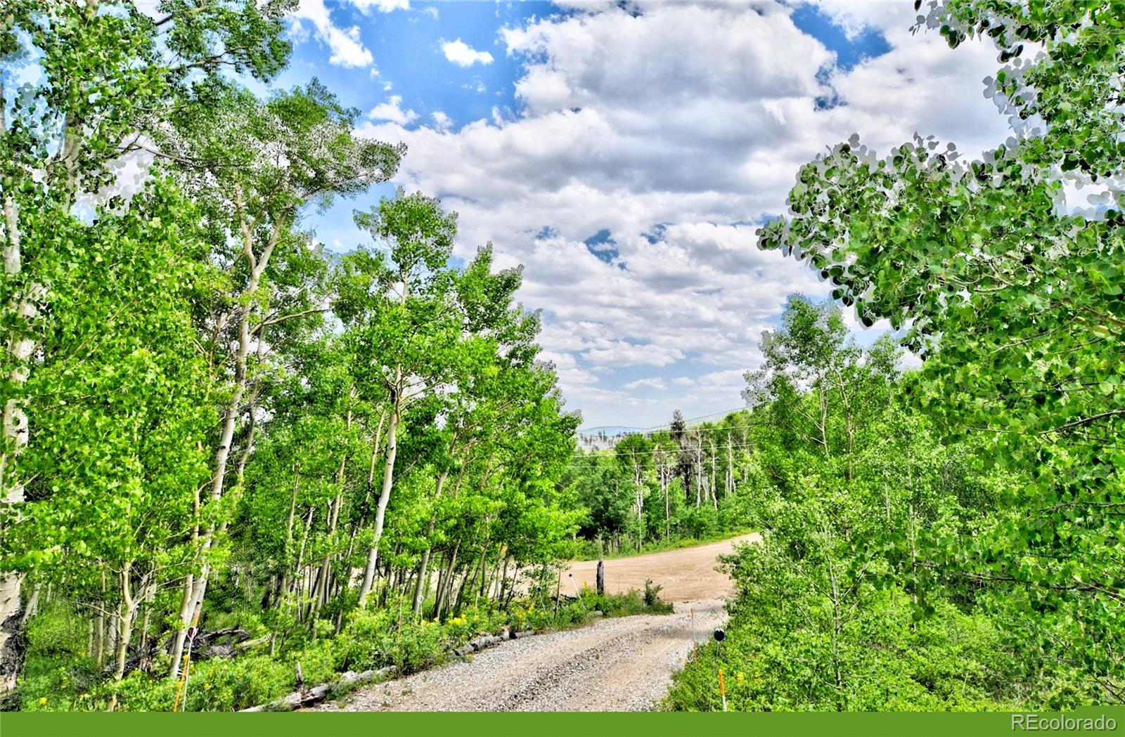 MLS Image #30 for 605  lamb mountain road,fairplay, Colorado