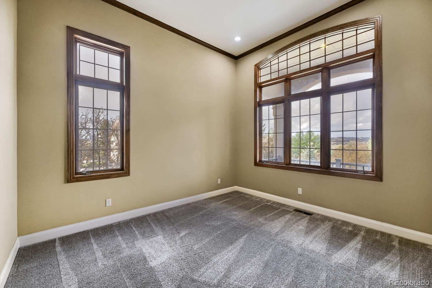 MLS Image #19 for 3366  red tree place,castle rock, Colorado