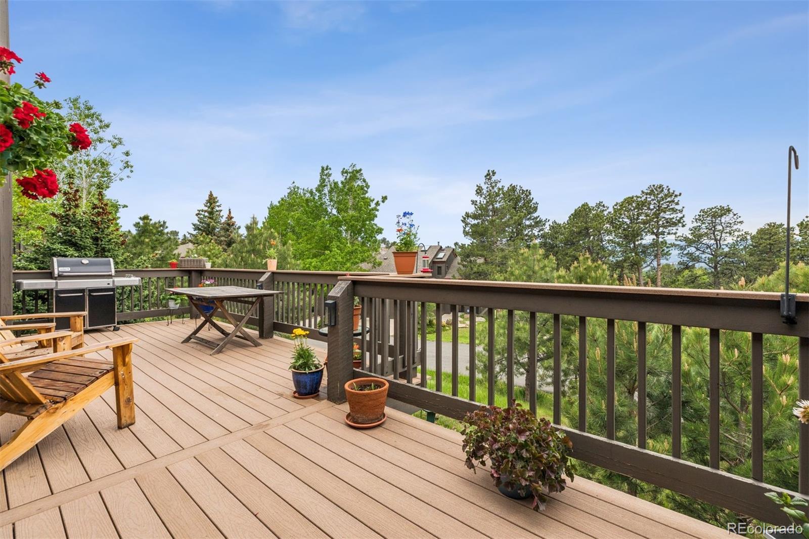 MLS Image #19 for 24036  currant drive,golden, Colorado