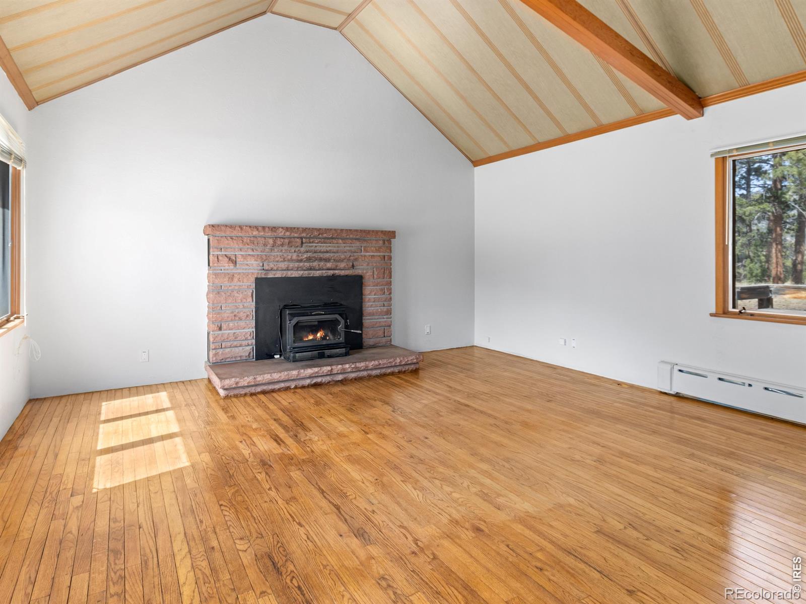 MLS Image #10 for 1211  glacier view lane,estes park, Colorado