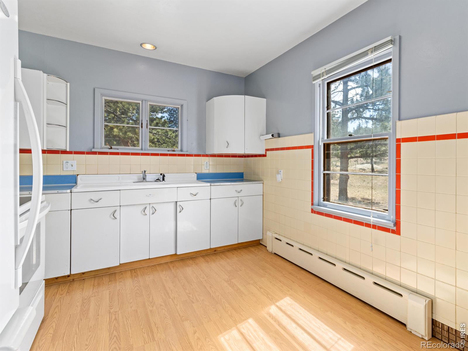 MLS Image #14 for 1211  glacier view lane,estes park, Colorado