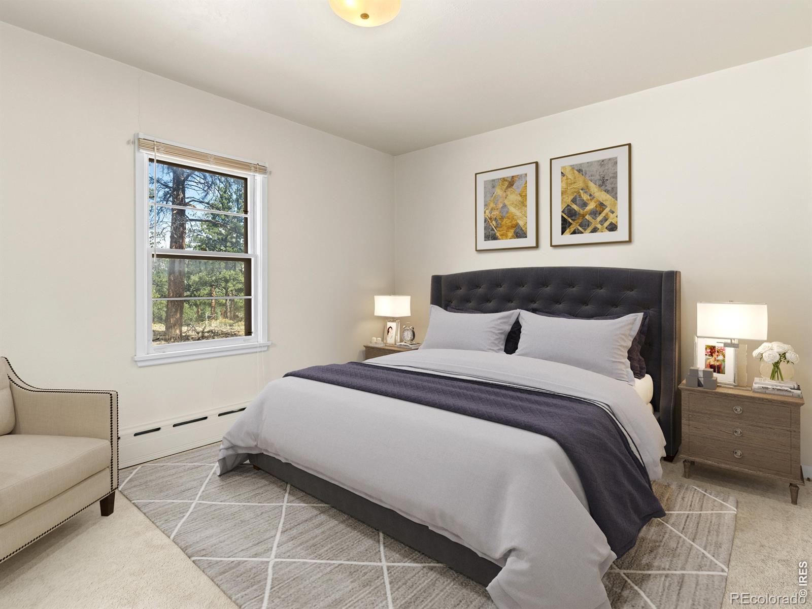 MLS Image #15 for 1211  glacier view lane,estes park, Colorado