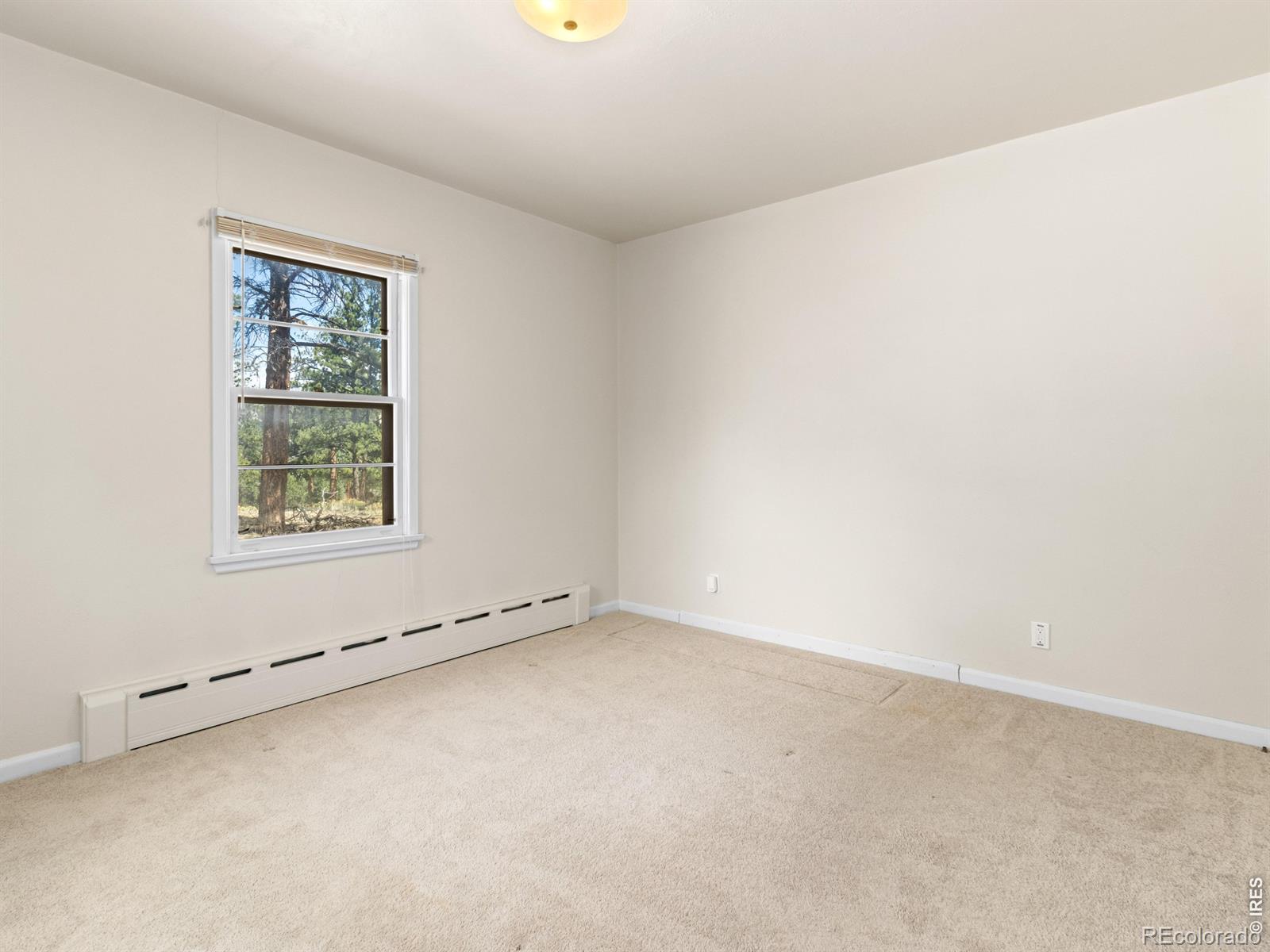MLS Image #16 for 1211  glacier view lane,estes park, Colorado