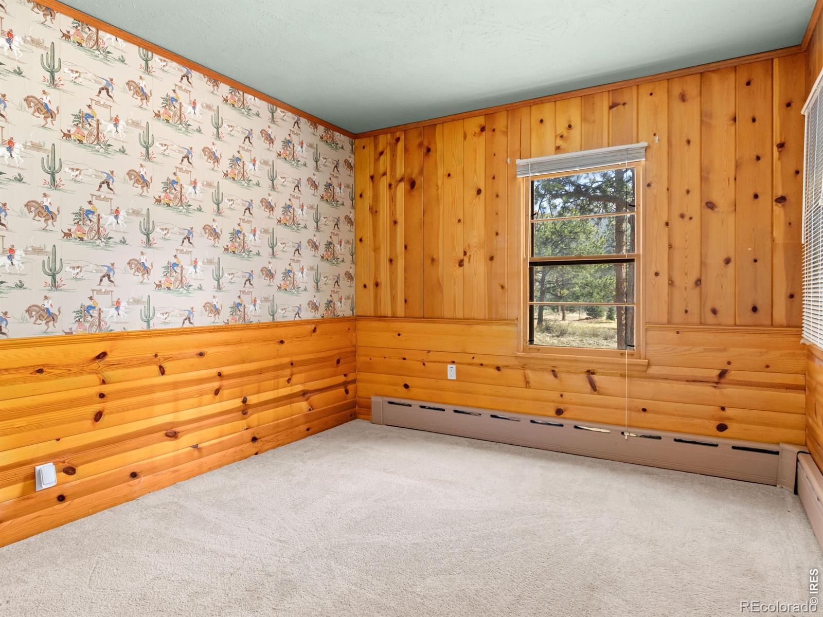 MLS Image #20 for 1211  glacier view lane,estes park, Colorado