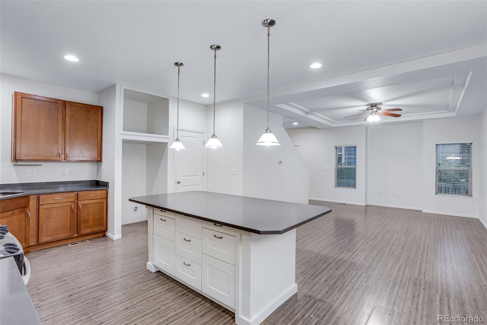 MLS Image #13 for 9665 e 105th avenue,commerce city, Colorado
