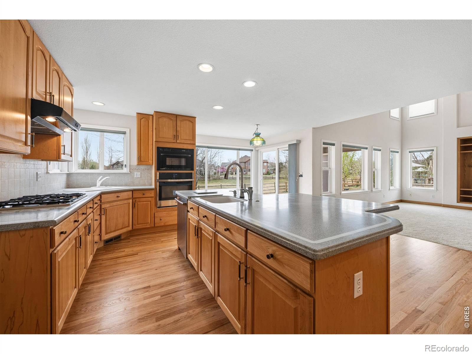 MLS Image #17 for 11790  pleasant view ridge,longmont, Colorado