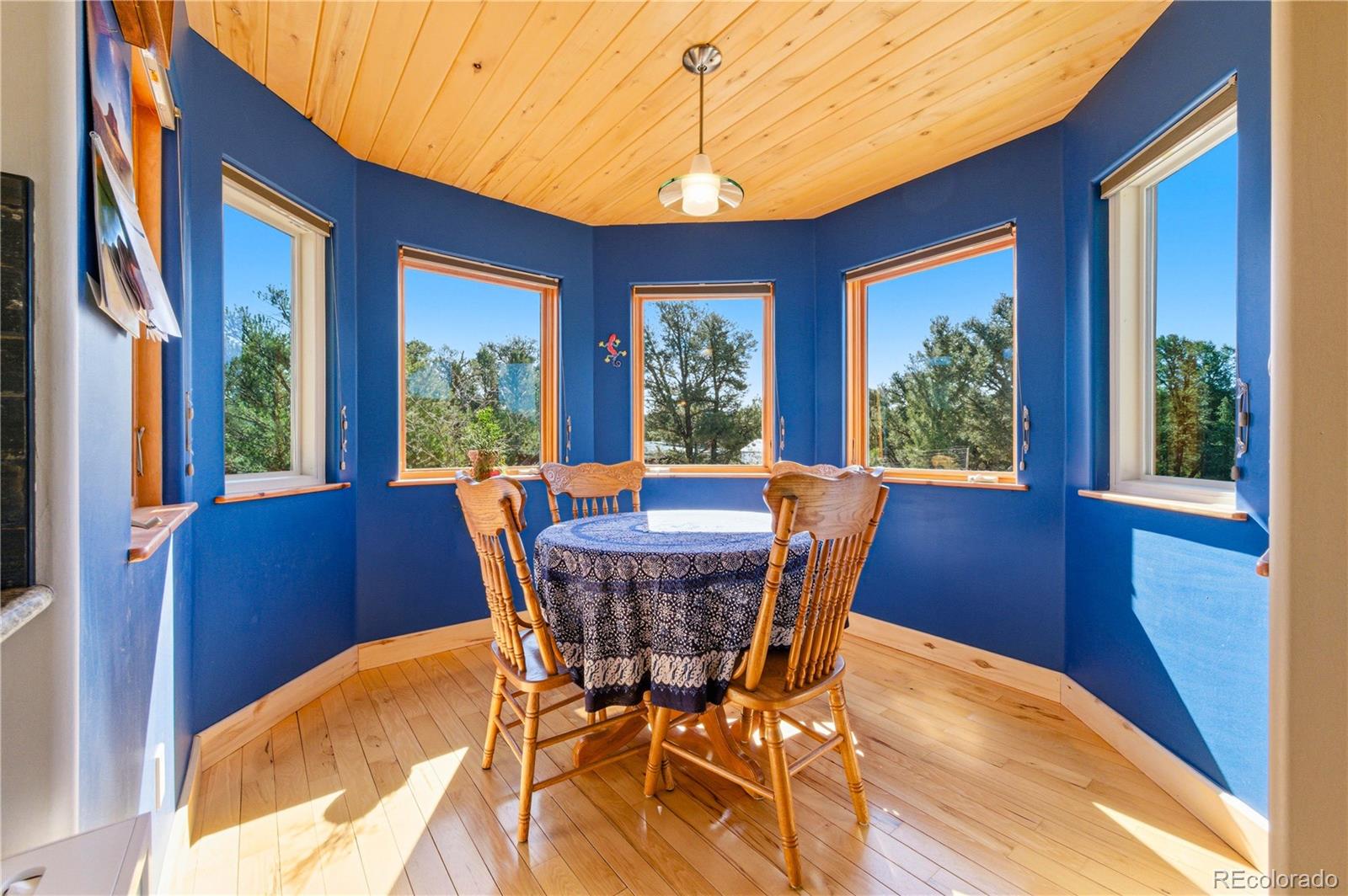 MLS Image #18 for 2873  county road 1 ,cotopaxi, Colorado