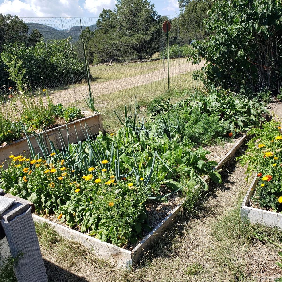 MLS Image #35 for 2873  county road 1 ,cotopaxi, Colorado