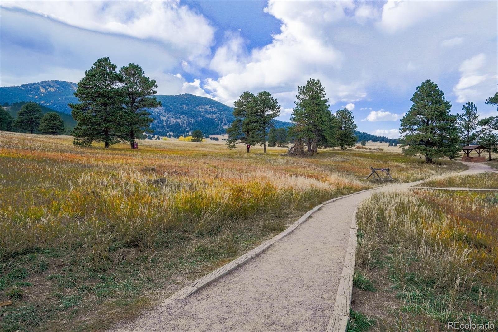 MLS Image #41 for 30591  sun creek drive,evergreen, Colorado