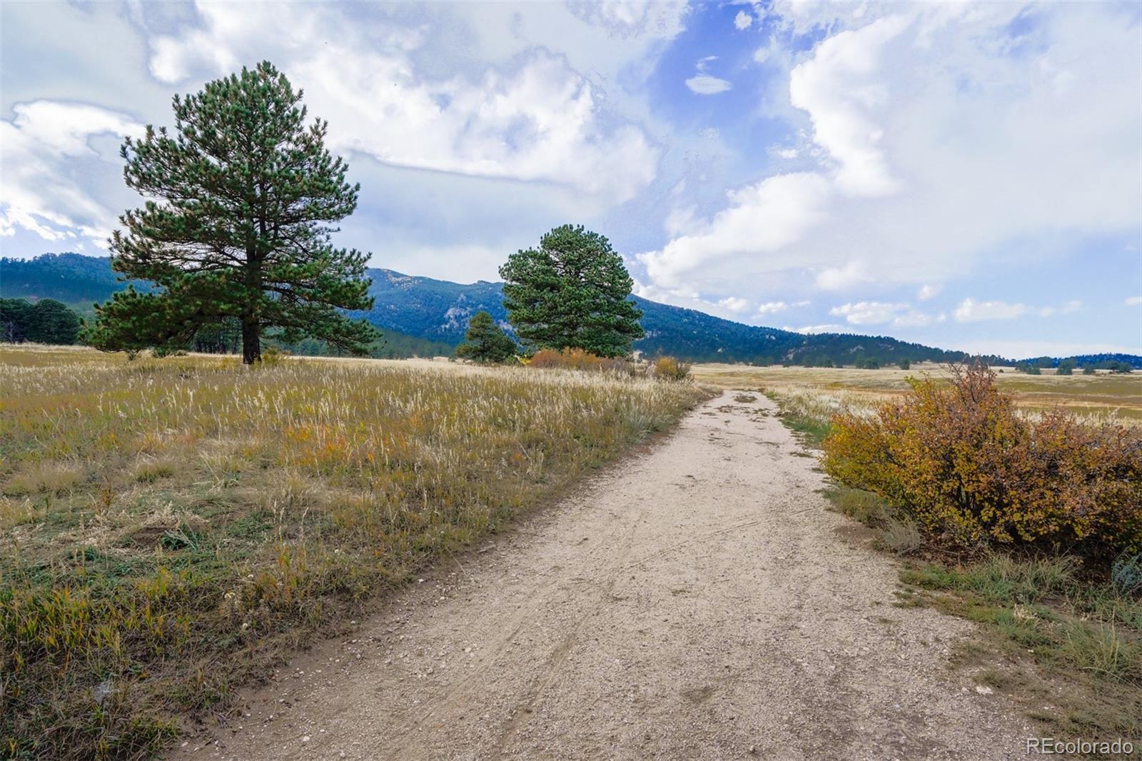 MLS Image #42 for 30591  sun creek drive,evergreen, Colorado