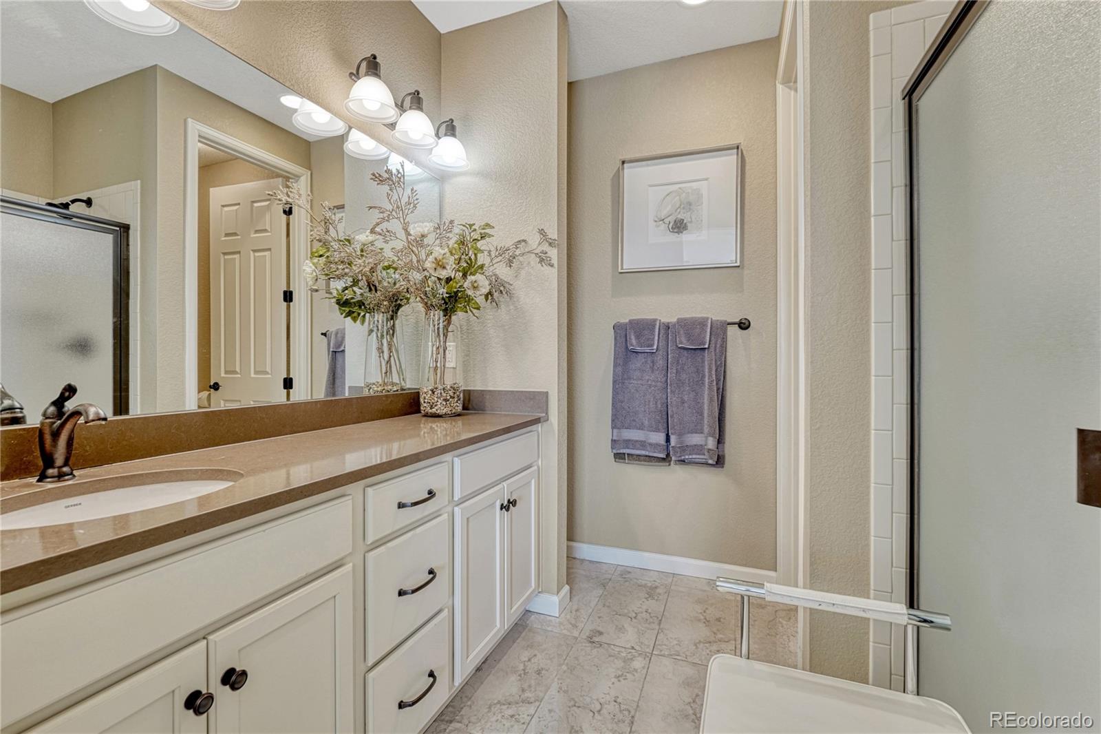 MLS Image #10 for 448  blue teal drive,castle rock, Colorado