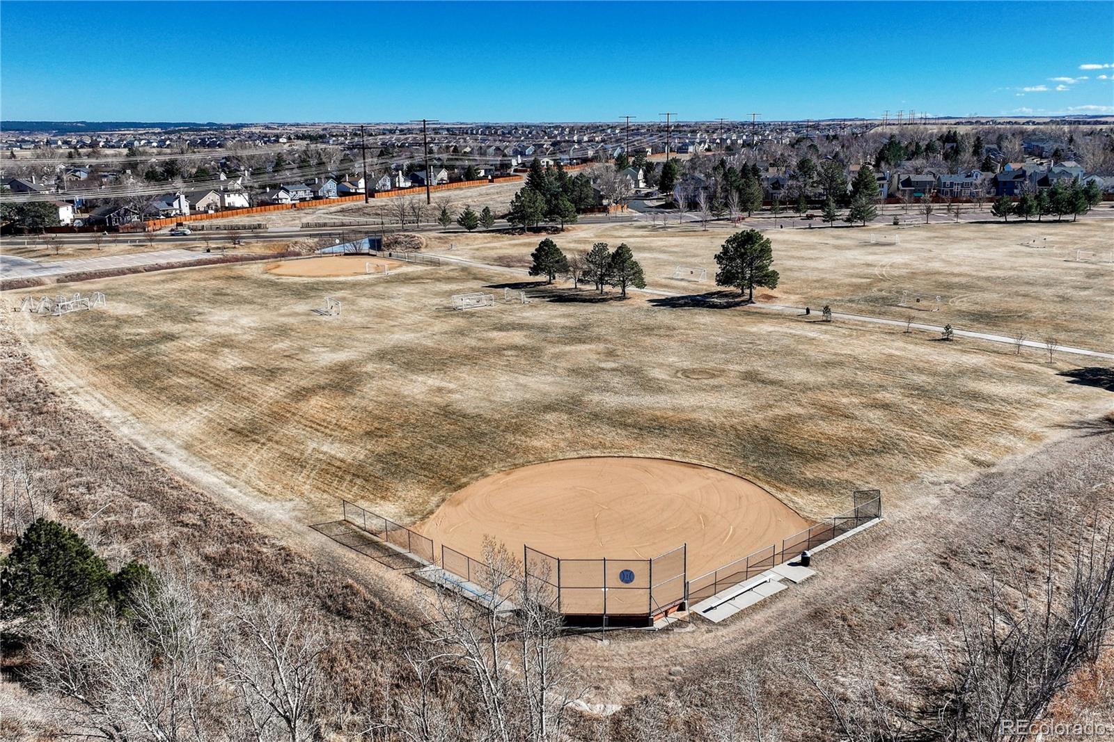 MLS Image #41 for 448  blue teal drive,castle rock, Colorado