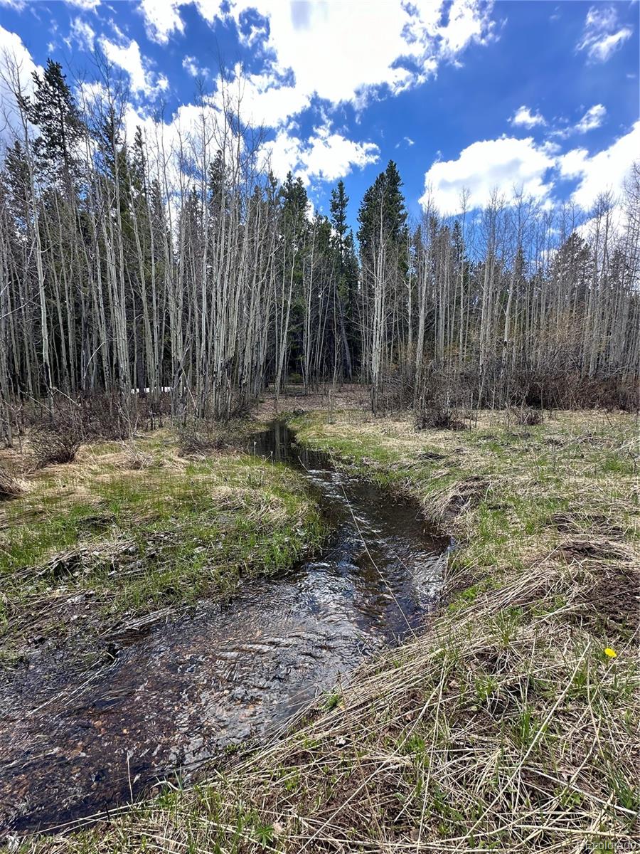 MLS Image #21 for 1101  cr 99 ,black hawk, Colorado