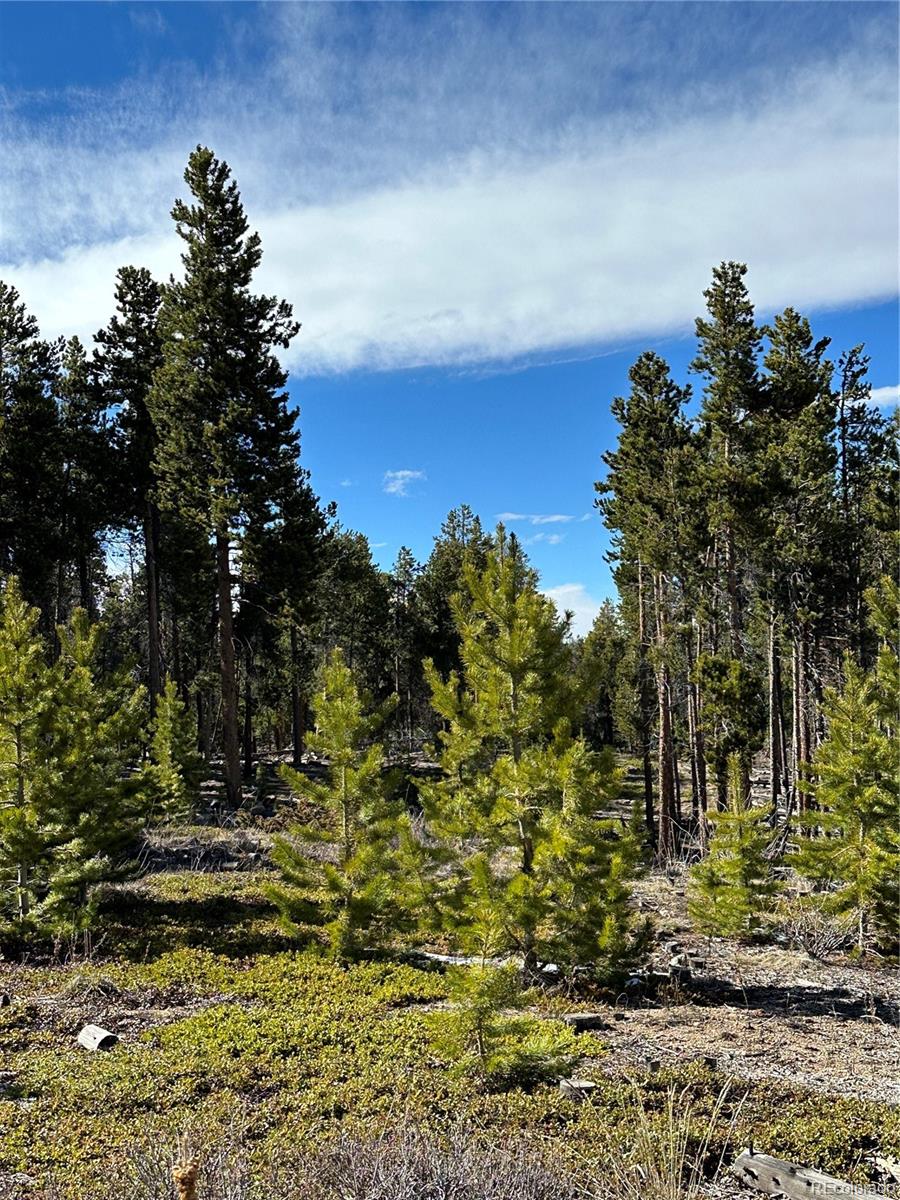 MLS Image #23 for 1101  cr 99 ,black hawk, Colorado