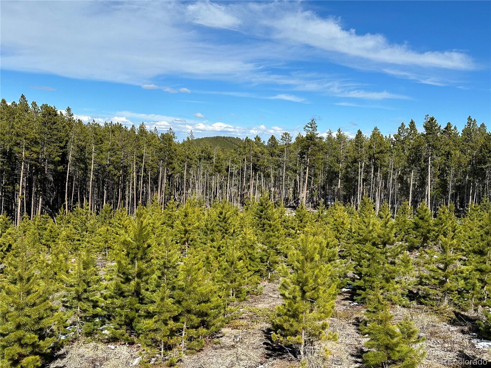 MLS Image #24 for 1101  cr 99 ,black hawk, Colorado