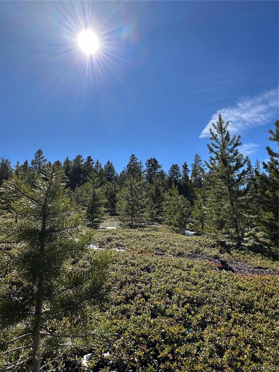 MLS Image #25 for 1101  cr 99 ,black hawk, Colorado