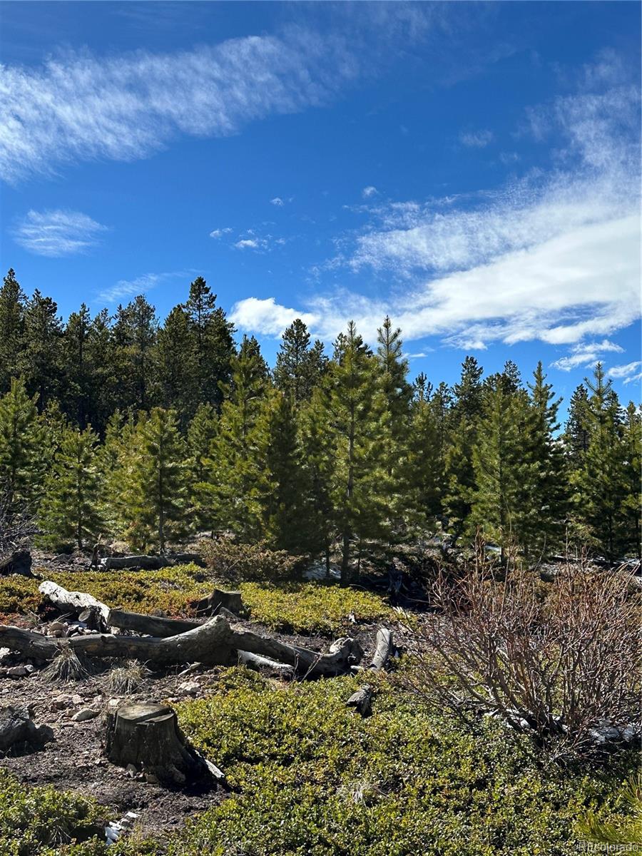 MLS Image #26 for 1101  cr 99 ,black hawk, Colorado