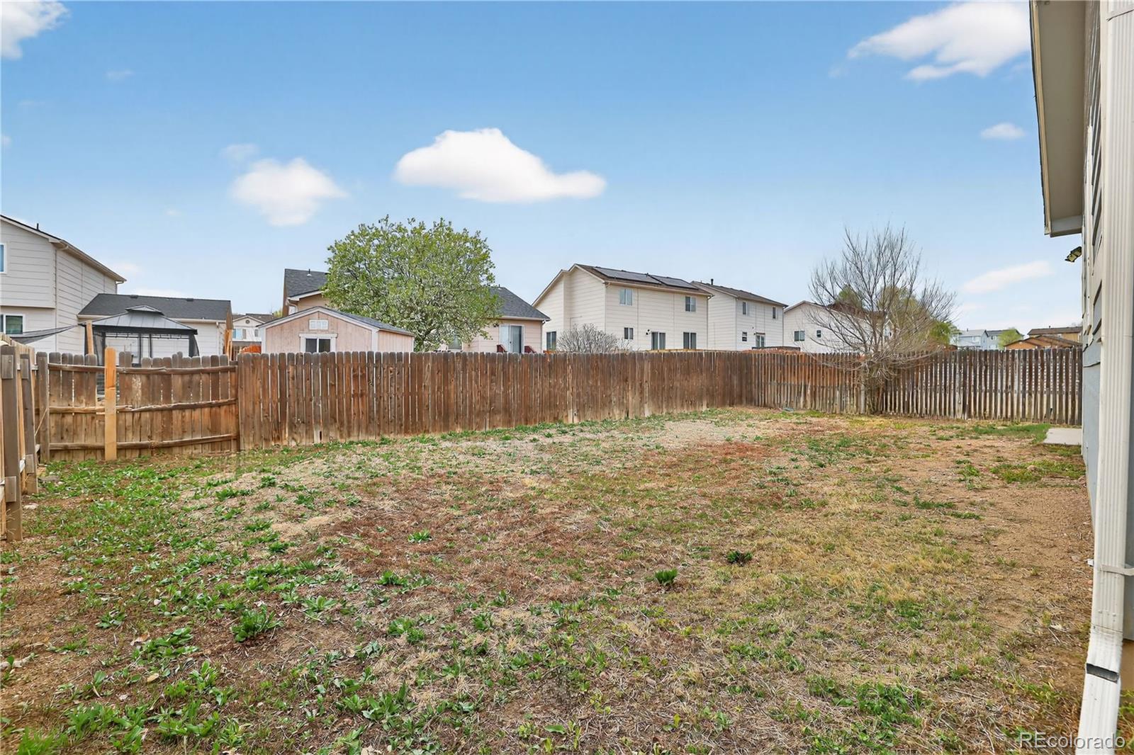 MLS Image #7 for 8746  langford drive,fountain, Colorado