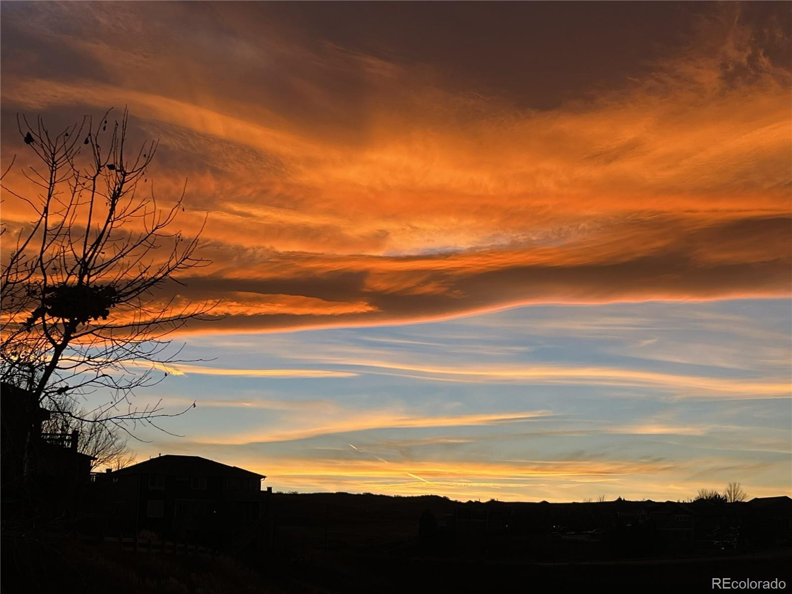 MLS Image #41 for 11025  grayledge circle,highlands ranch, Colorado