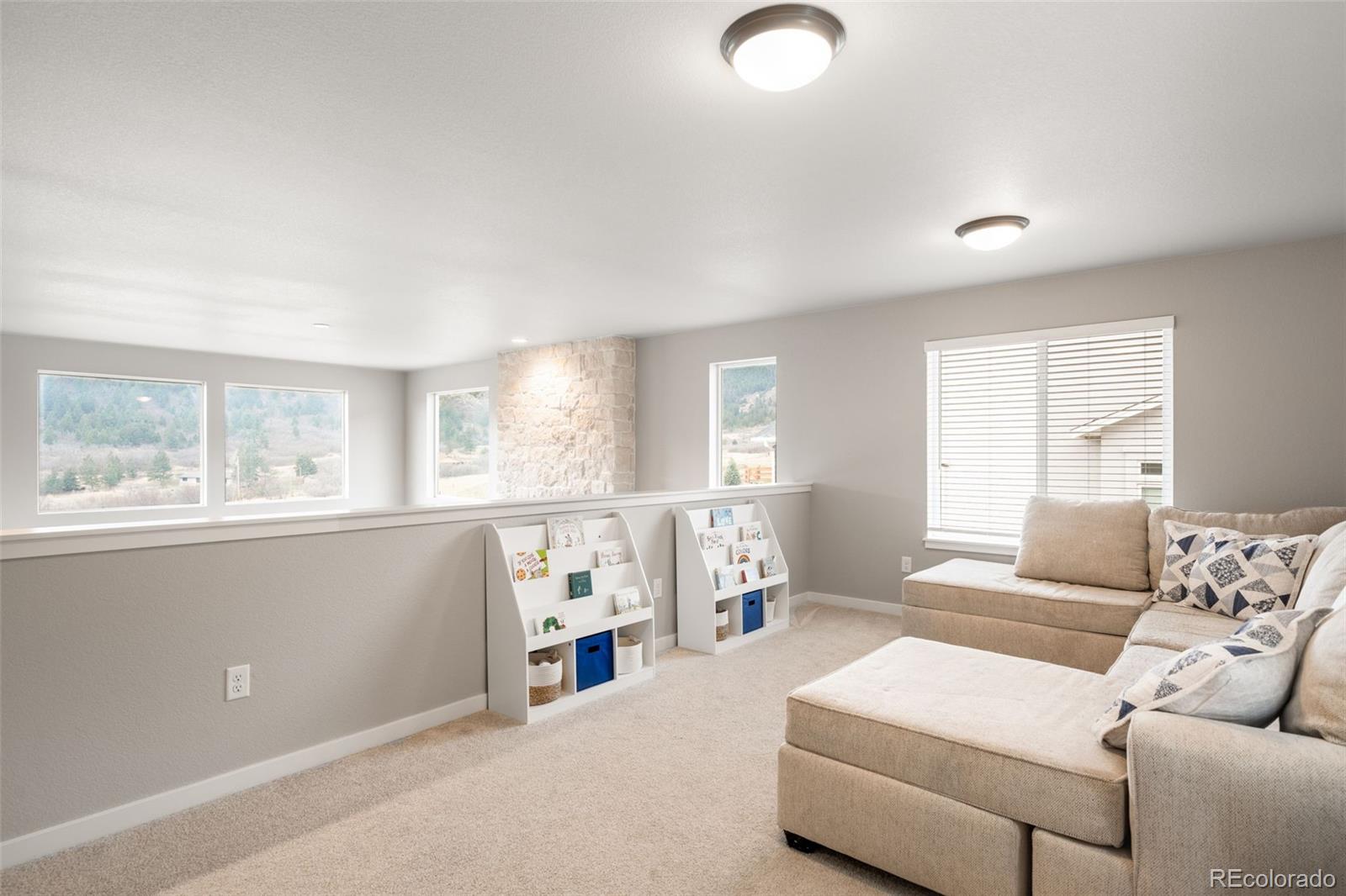 MLS Image #19 for 4765  mesa top drive,monument, Colorado