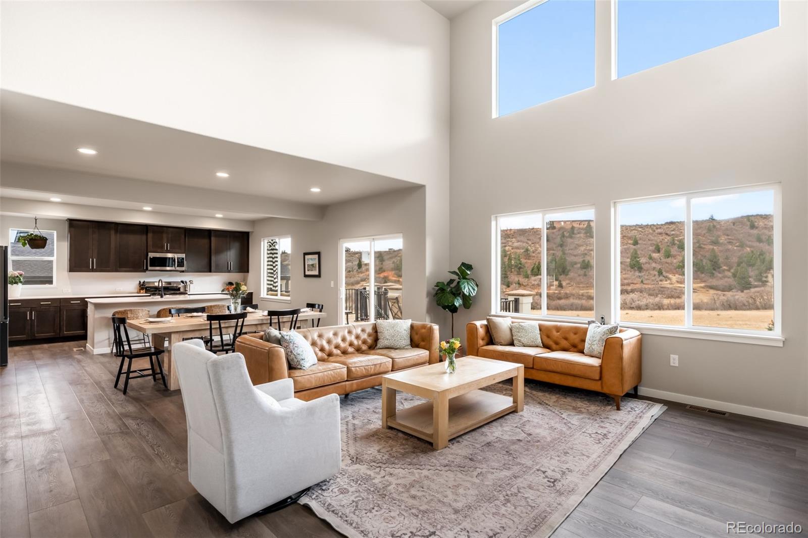 MLS Image #5 for 4765  mesa top drive,monument, Colorado