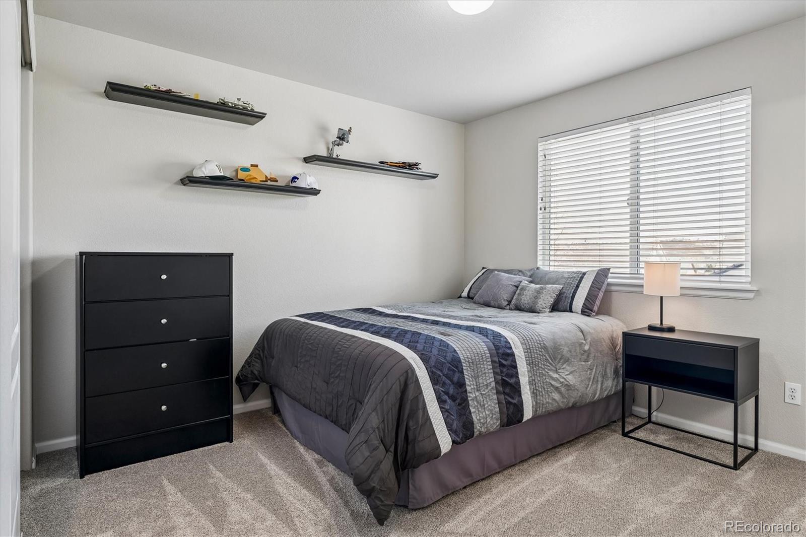 MLS Image #11 for 4324  ivycrest point,highlands ranch, Colorado