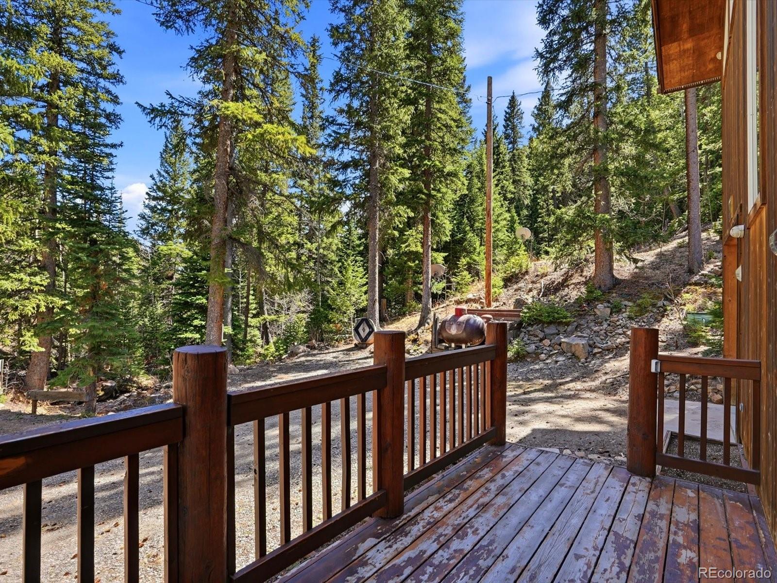 MLS Image #10 for 2547  mill creek road,idaho springs, Colorado