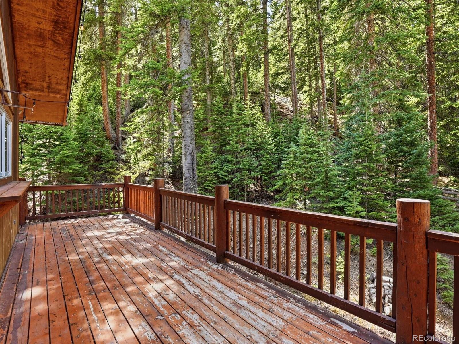 MLS Image #41 for 2547  mill creek road,idaho springs, Colorado