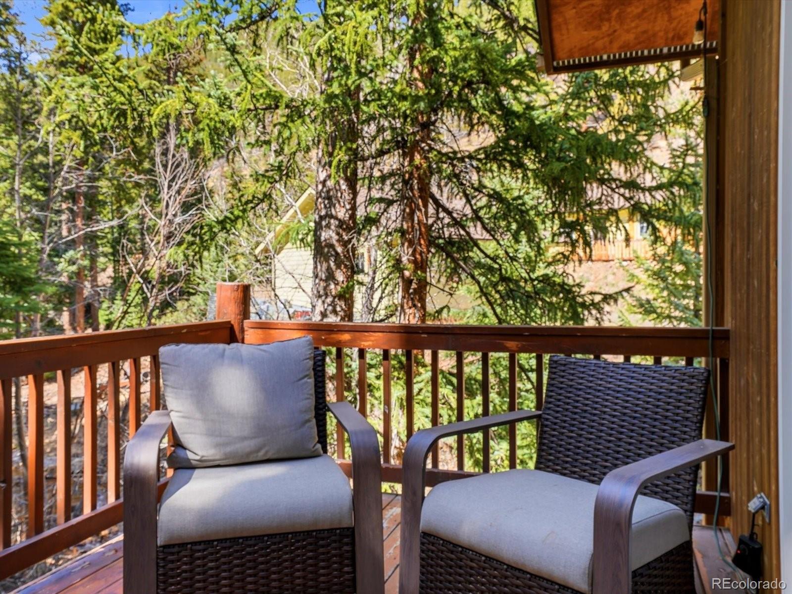 MLS Image #42 for 2547  mill creek road,idaho springs, Colorado
