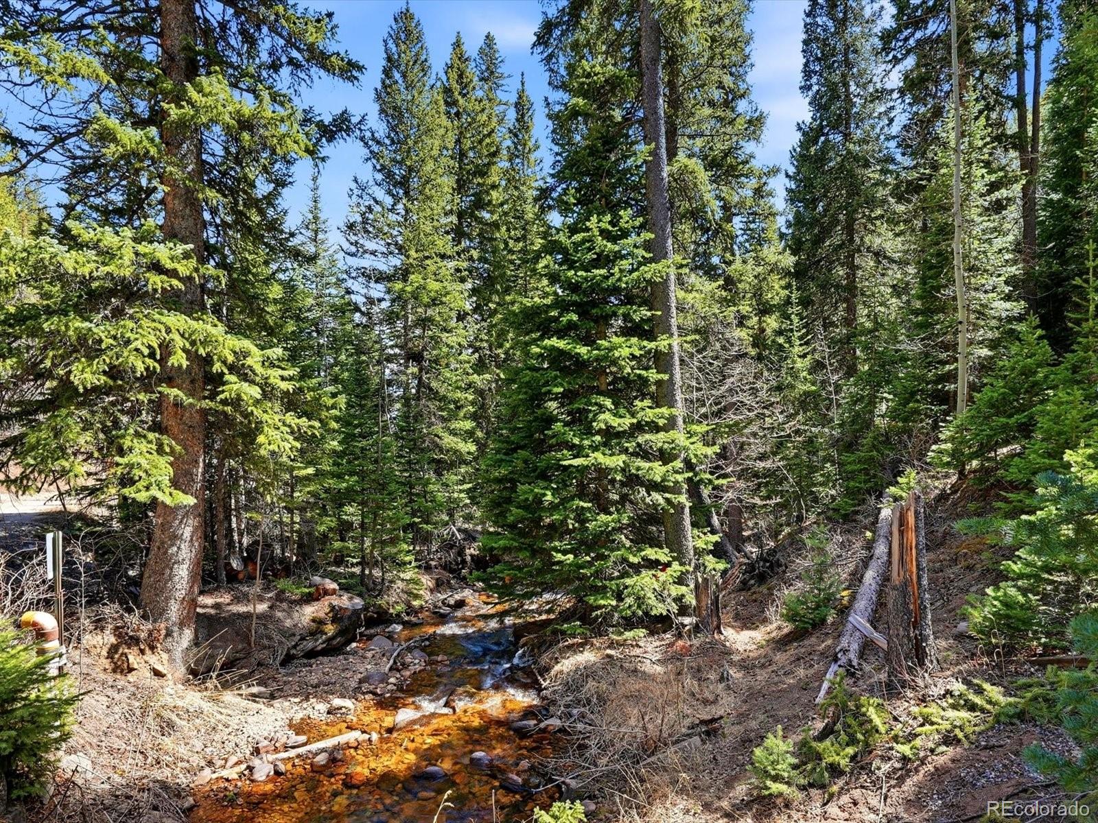MLS Image #43 for 2547  mill creek road,idaho springs, Colorado