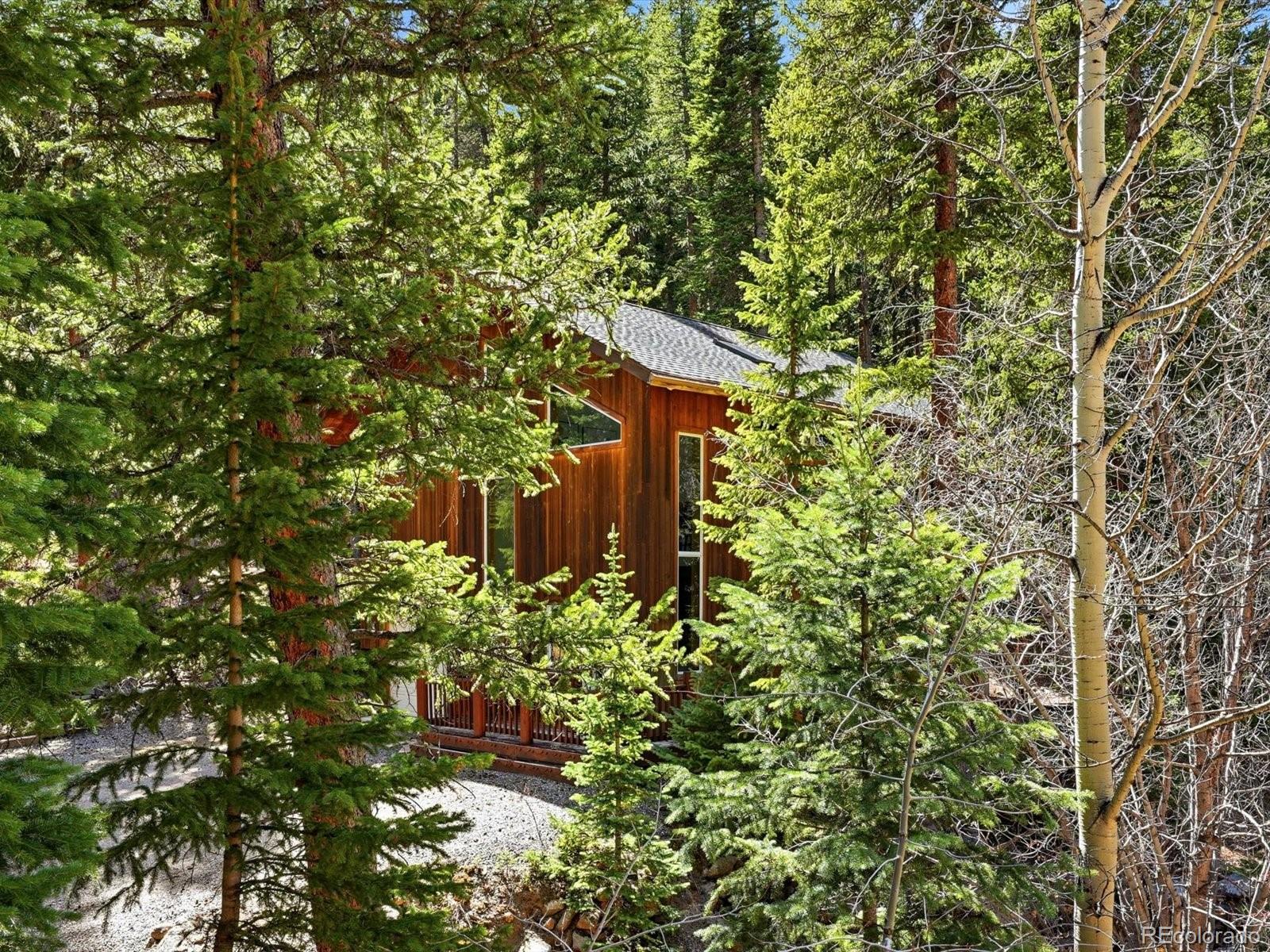 MLS Image #5 for 2547  mill creek road,idaho springs, Colorado