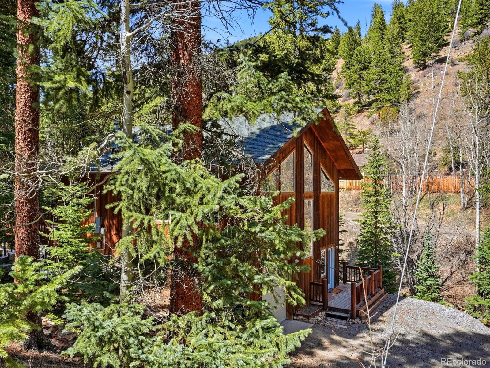 MLS Image #6 for 2547  mill creek road,idaho springs, Colorado