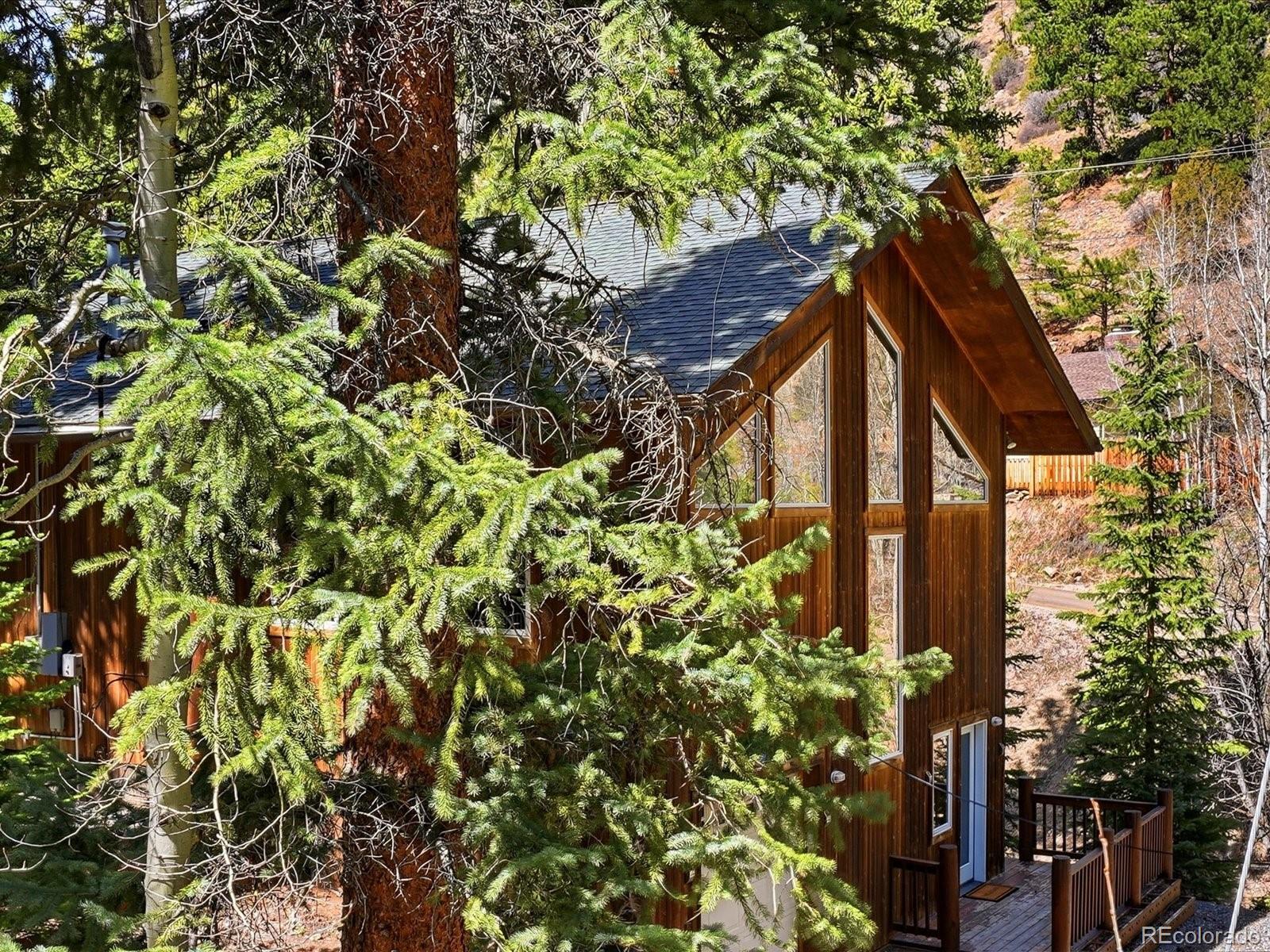 MLS Image #7 for 2547  mill creek road,idaho springs, Colorado