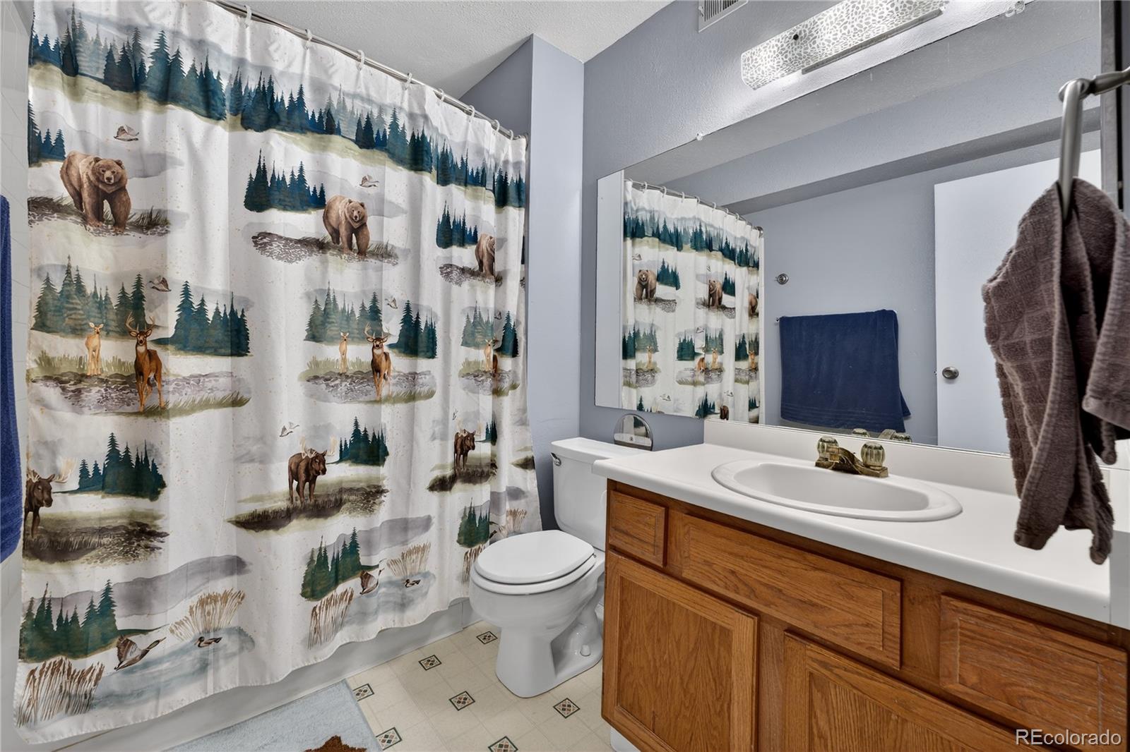 MLS Image #16 for 3320 s ammons street,lakewood, Colorado