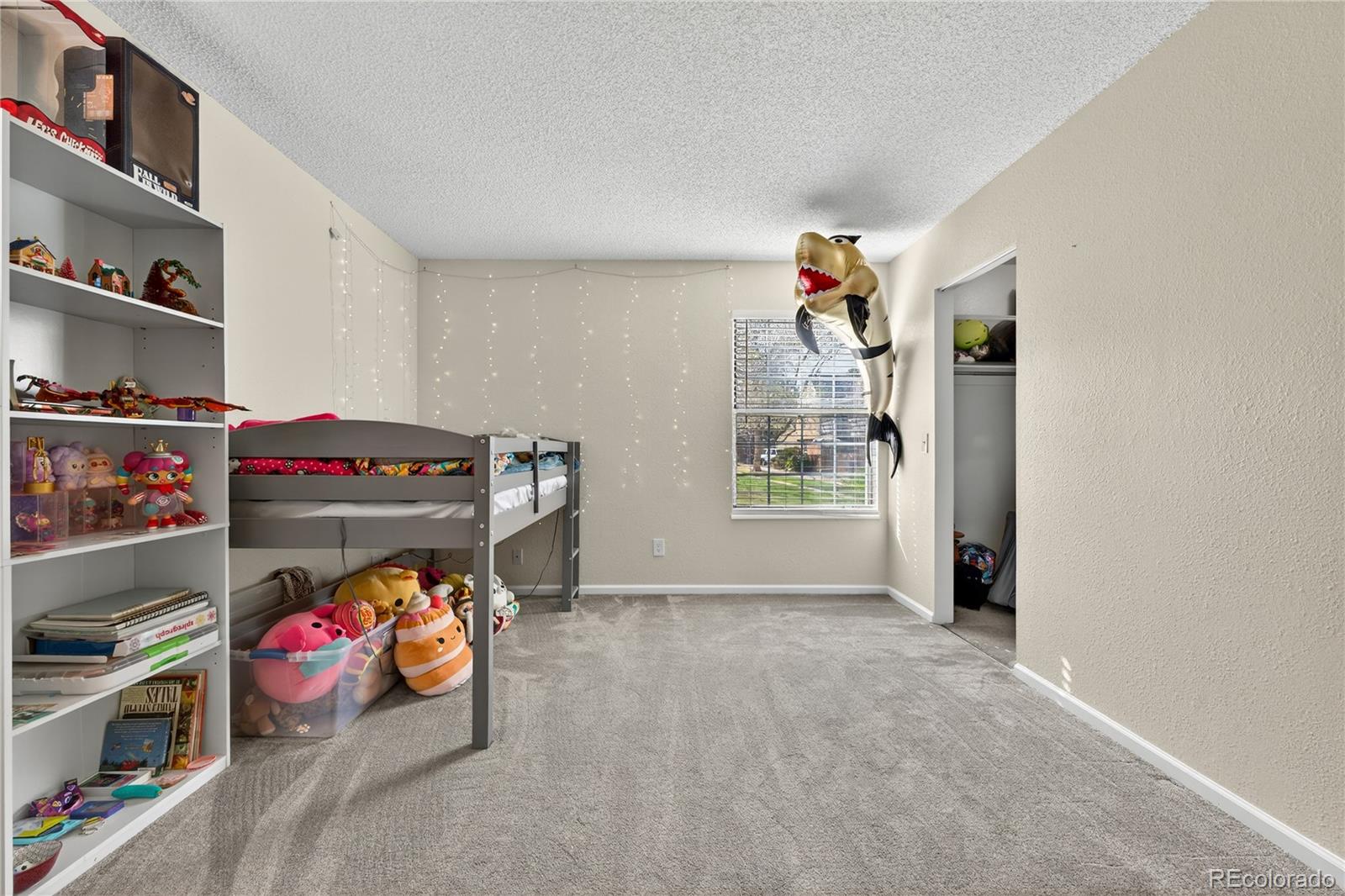 MLS Image #17 for 3320 s ammons street,lakewood, Colorado