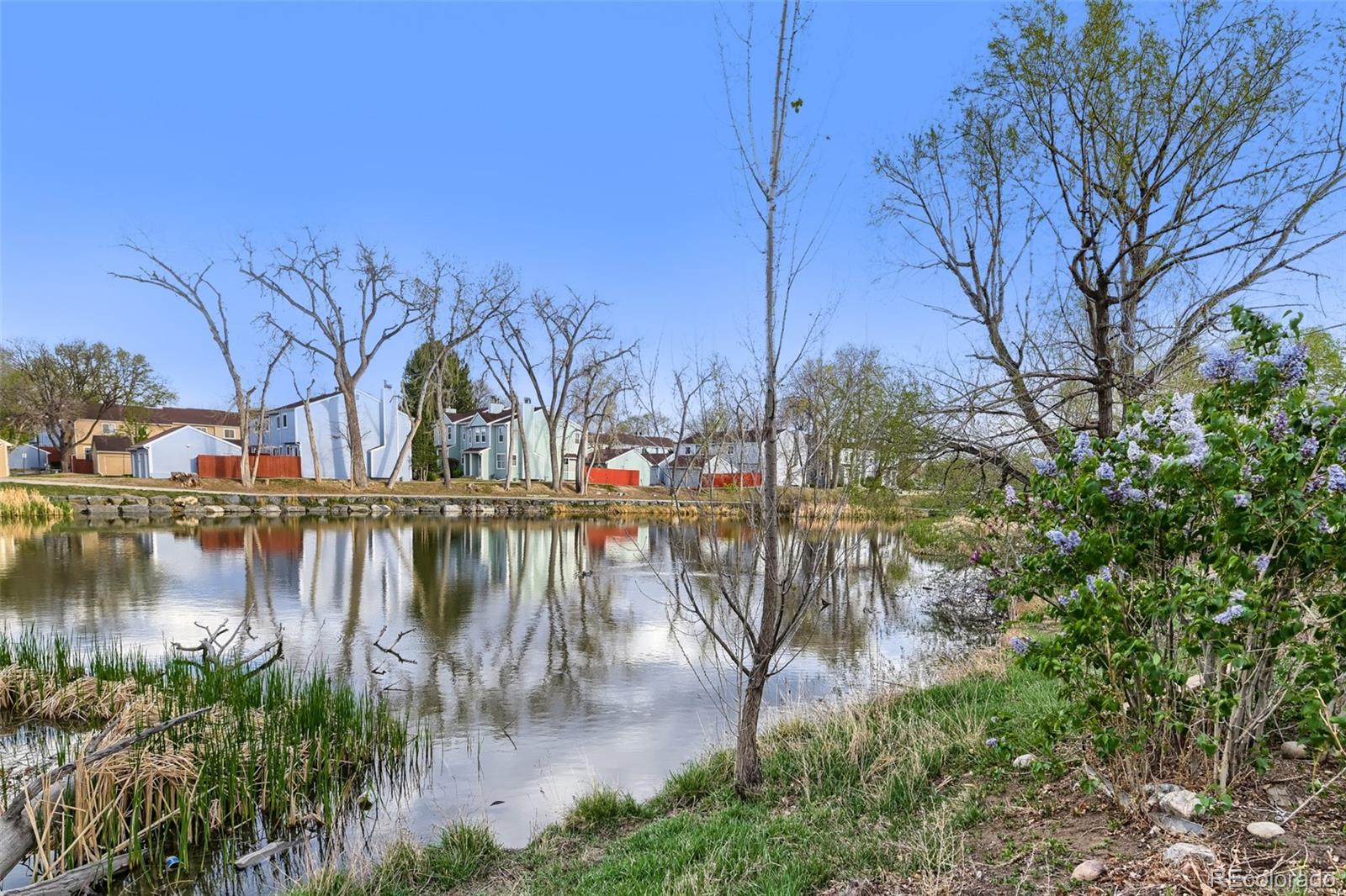MLS Image #21 for 12150  melody drive 105,westminster, Colorado